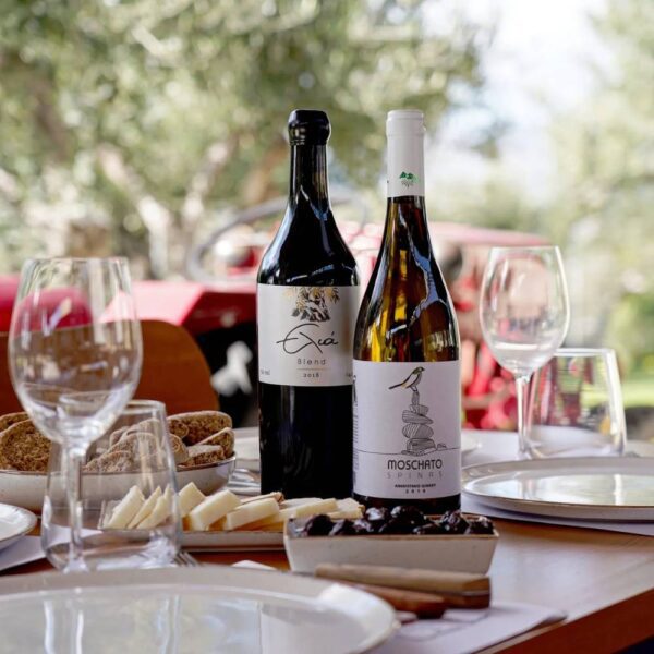 tour chappy chania tranfers8